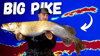 Ice Fishing Northern Pike on Lake of the Woods(INSANE Livescope Footage)