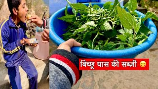 बिच्छू घास की सब्ज़ी 😋गौरव को खिलाये गोलगप्पे 😄 #pahadilifestylevlog #vlog