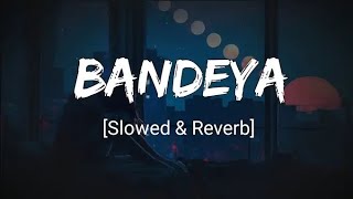 Bandeya - Arijit Singh [Slowed+Reverb] | Dil Juungle song