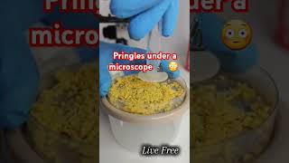 Have you ever looked at Pringles under a microscope