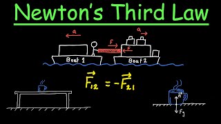 Newton's Third Law With Examples