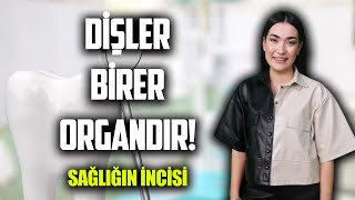 İNSAN NEDEN DİŞ SIKAR VEYA GICIRDATIR ? | 'Diş Hekimi' Berna BUCAK (#sağlığınincisi) (#23)