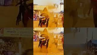 Tamil nadu best jalikattu