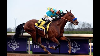 American Pharoah Stakes Preview