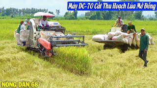 Xem Máy Căt DC-70 Thu Hoạch Lúa Chạy Mở Đồng Cho Mùa Vụ Mới | Nông Dân 68