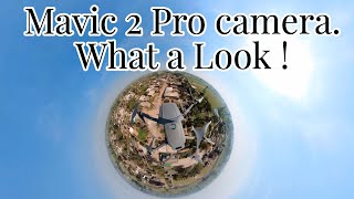 Mavic 2 Pro with Insta 360 X2 360 camera. What a Look !