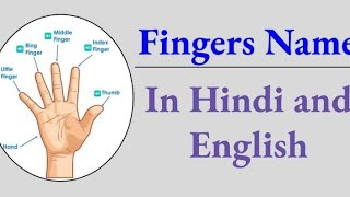 Fingers name| Fingers name in Hindi and English