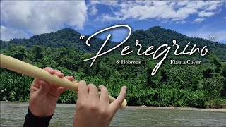 Peregrino & Hebreos 11 |《Instrumental》Flauta Cover de "Peregrino" (Original Bertha Amado)