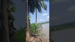 Nature..when GOD plans to do plantation. #shortvideo #shorts #monsoon #india