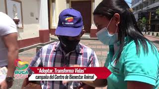 Adoptar, Transforma Vidas campaña del Centro de Bienestar Animal