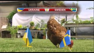 Kev The Chicken #4 - Our psychic feathered friend predicts the winners at the Euros