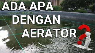 CARA BUDIDAYA IKAN GURAME DI KOLAM BETON || ADA APA DENGAN PENGGUNAAN AERATOR ???