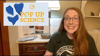 Pop Up Science: Fossil Shark Teeth!