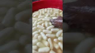 Bangladeshi sweet maker | Bangladeshi street food |