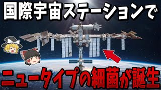 【ゆっくり解説】ISSの宇宙環境で地球上にいる細菌種とは異なるニュータイプの細菌が誕生！