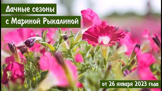 Дачные сезоны с Мариной Рыкалиной от 26 января 2023 года