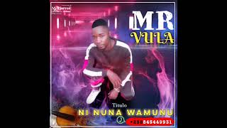 Mr Vula__Ni Nuna Wamunu (Official Audio)