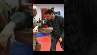 Кунг фу в Москве #martialarts #training #sports #спорт #обучение #learning