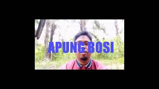 APUNG BOSI