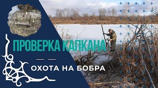 ОХОТА НА БОБРА/ПРОВЕРКА КАПКАНА/ПЕРВЫЙ БЛИН...