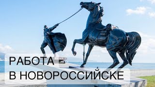 Работа в Новороссийске | обзор и наблюдения лето 2022 года