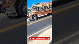 AUTOBUSES DE GUATEMALA #feedshorts #buses #guatemala #suscribete