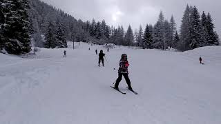 friLingue ski lessons