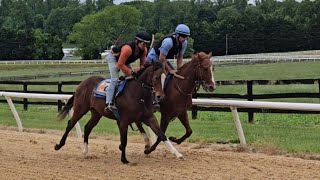 Hippitus Hoppitus (rail) and Divine Swagger (outside) galloping on 5/11.