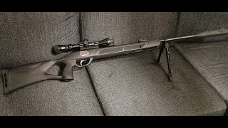 Gamo g-magnum 1250 whisper igt mach1