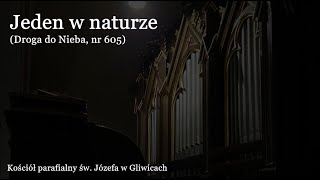 Jeden w naturze | Gliwice, św. Józefa