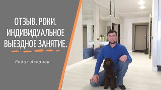 Отзыв. Пудель Роки. Индивидуальное выездное занятие | Радик Аксанов