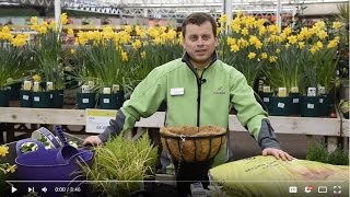 How to make a spring themed hanging basket  - Haskins how to #1