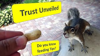 Safe and Responsible Tips for Hand-Feeding Squirrels |