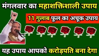 मंगलवार का महाशक्तिशाली उपाय, 11 गुलाब फूल का अचूक उपाय, उपाय आपको करोड़पति बना देगा #pradeepmishra