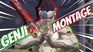 "Worth" | Genji Montage #1