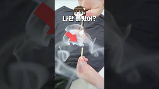 상식 상위 1퍼 (내기준)