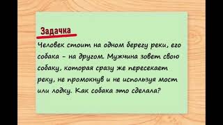 Кто сможет отгадать загадку, жду в коментах. Ответ ищите в комментариях #загадка #головоломка