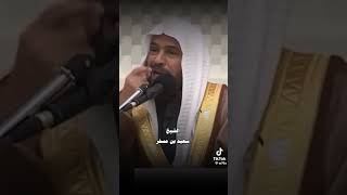 الشيخ : سعيد مسفر