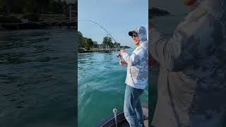 Detroit River White Bass TOPWATER! 🤘