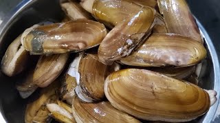 How to clean razor clams?태평양맛조개 손질