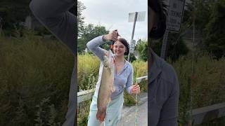 RECORD SIZE BOWFIN CAUGHT BY WOMAN ANGLER! #fishing #fyp #bowfin #bigfish #rivermonsters