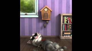 Talking tom the rich funny cat