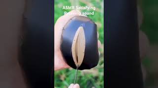 ASMR Satisfying Relaxing with Cutting Sound #shorts @BRIGUERA VLOGZ