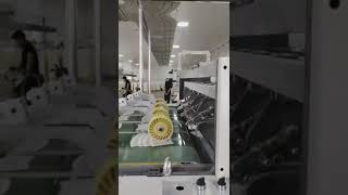 Paper Cup Fan Roll Die Cutting Stripping Machine working in Customer's Factory