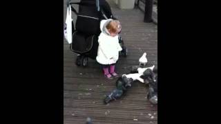 Kailey feeding birds