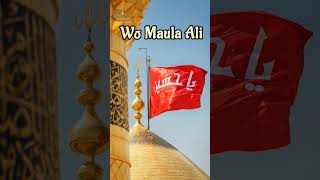 Wo Maula Ali Status|Muharram Status|Islamic New Year Status|By:Sayyed Abdul Wasi Qadri Sahab|#new