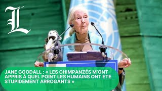 Jane Goodall : « Les chimpanzés m’ont appris à quel point les humains ont été stupidement arrogants»