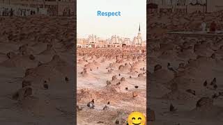 Love Madina #madina  #islamicstatus#shortvideo