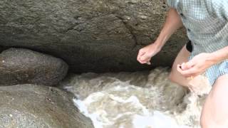 Catching Limpets (Kasagai)