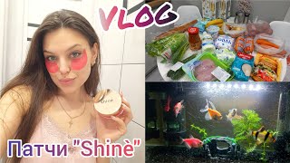 VLOG: Патчи "Shine"😍Покупки продуктов 🛒Про акварим🐠Удобрение для орхидей🌺Обзор заказов с WB🤗